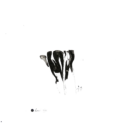 Koe achterkant Pen inkt op papier, 29x21 cm, 1995
