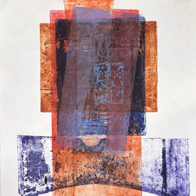 zonder titel 3, kleurenets, unicum, 2011, 65x50 cm