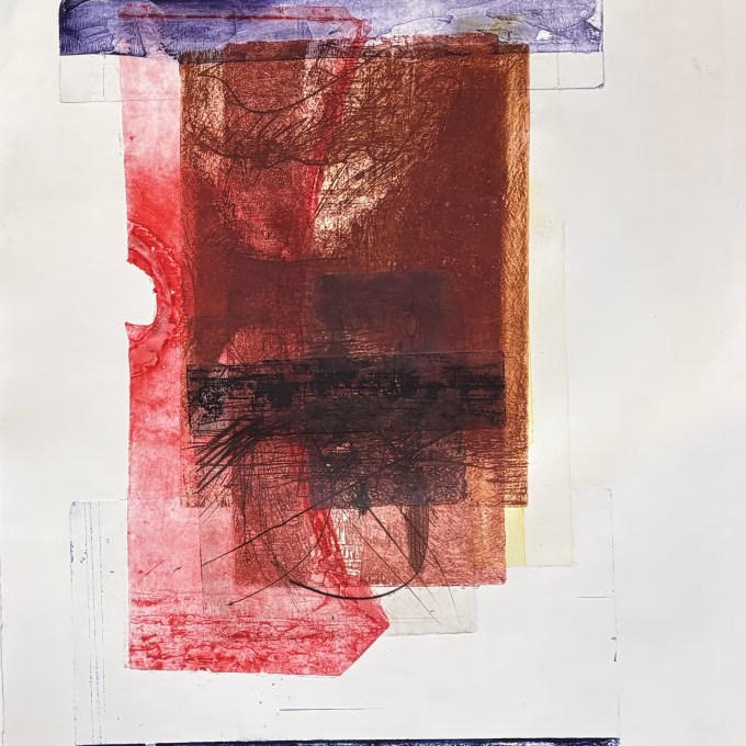 zonder titel 6, kleurenets, unicum, 2011, 65x50 cm